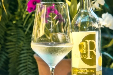 Cata de vinos mexicanos y experiencia sensorial de aromas — photo 5