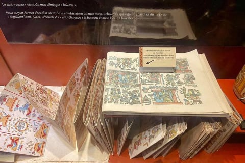 Uxmal, Kabah and Chocolate Museum Tour from Mérida — photo 13