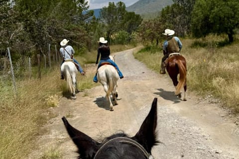 Expérience à cheval, culture et saveurs mexicaines — photo 13