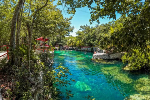 Cenotes Casa Tortuga: 5 Cenotes Day Pass — photo 14