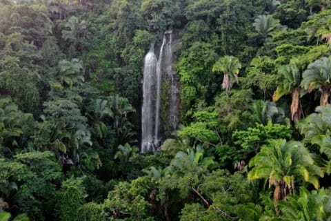 Lo mejor de la Sierra Madre: tour privado desde Puerto Vallarta — photo 5