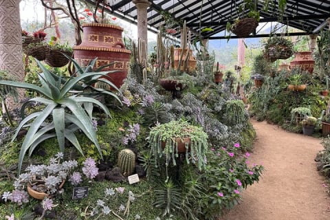 Excursion privée sur la côte sud et au jardin botanique de Vallarta — photo 2