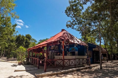 Cenotes Casa Tortuga: 5 Cenotes Day Pass — photo 8