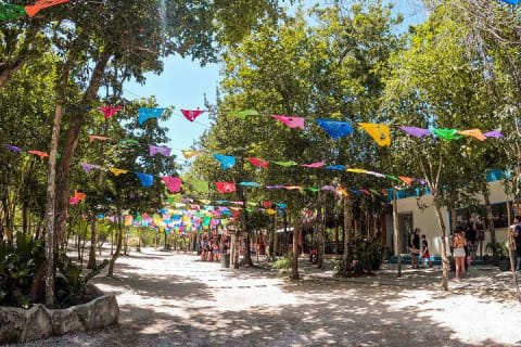 Cenotes Casa Tortuga: 5 Cenotes Day Pass — photo 7