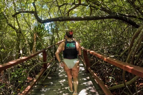 Cenotes Casa Tortuga: 5 Cenotes Day Pass — photo 9
