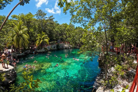Cenotes Casa Tortuga: 5 Cenotes Day Pass — photo 10