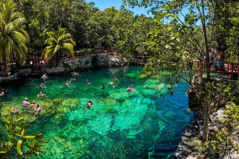 Cenotes Casa Tortuga: 5 Cenotes Day Pass — photo 11