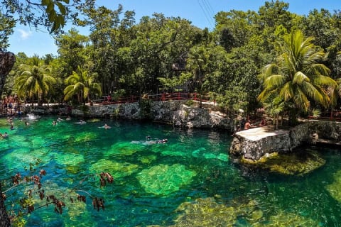 Cenotes Casa Tortuga: 5 Cenotes Day Pass — photo 12