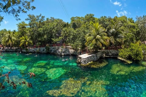 Cenotes Casa Tortuga: 5 Cenotes Day Pass — photo 13