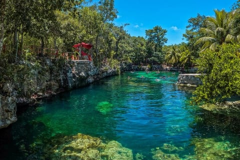 Cenotes Casa Tortuga: 5 Cenotes Day Pass — photo 15