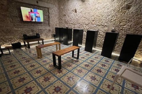 Expérience vanille : saveur, histoire, galerie et jardin — photo 7