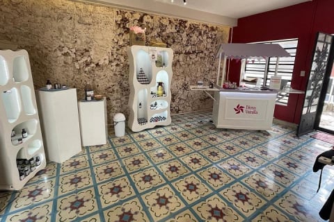 Expérience vanille : saveur, histoire, galerie et jardin — photo 9