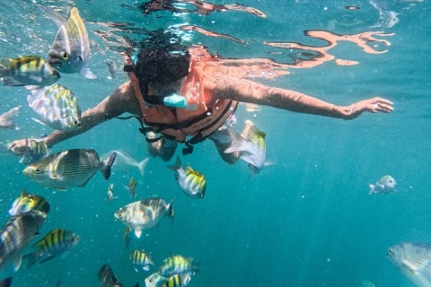 Puerto Vallarta: tour de snorkel con peces tropicales y tirolesa — photo 7