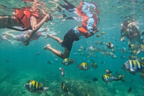 Puerto Vallarta: tour de snorkel con peces tropicales y tirolesa — photo 9