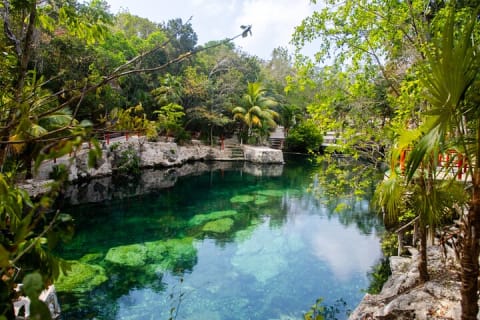 Cenotes Casa Tortuga Admission Ticket — photo 7