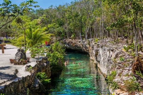 Cenotes Casa Tortuga Admission Ticket — photo 3