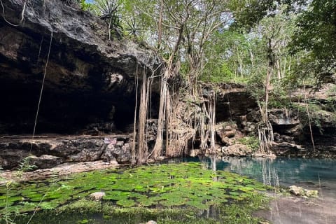 From Mérida: Explore 4 Rural Cenotes & Enjoy a Traditional Lunch — photo 13