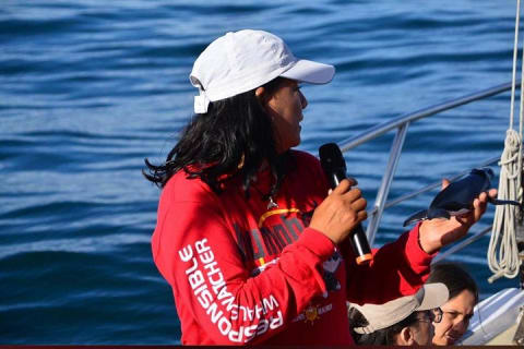 Tour de ballenas jorobadas de 4 horas con comida y barra al aire libre — photo 4