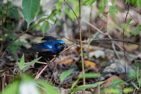 Day Trip to Coba and Punta Laguna with Mayan Lunch — photo 6
