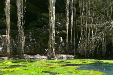 Explore Uxmal, 2 Magic Cenotes and Mayan Gastronomy — photo 6