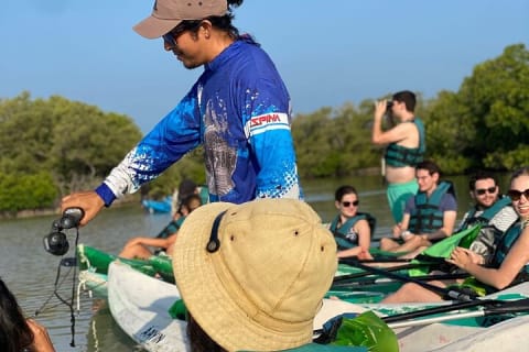 Kayak Mangroves Sunrise Experience — photo 6