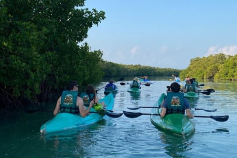 Kayak Mangroves Sunrise Experience — photo 7