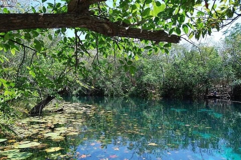 Chichén Itzá and Cenotes Day Trip with Traditional Lunch — photo 5