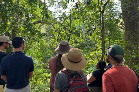 Punta Laguna Tour: Spider Monkey Reserve, cenote, canoe — photo 5