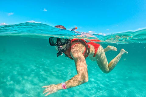 Private Turtle Snorkel Adventure in Akumal — photo 3