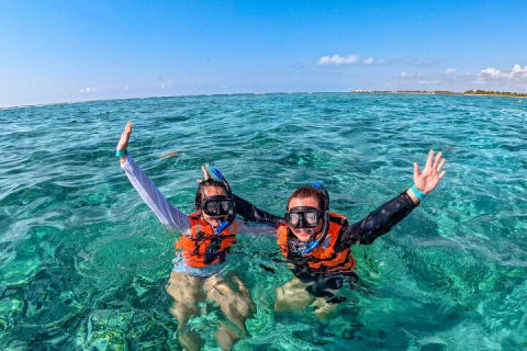 Private Turtle Snorkel Adventure in Akumal — photo 6