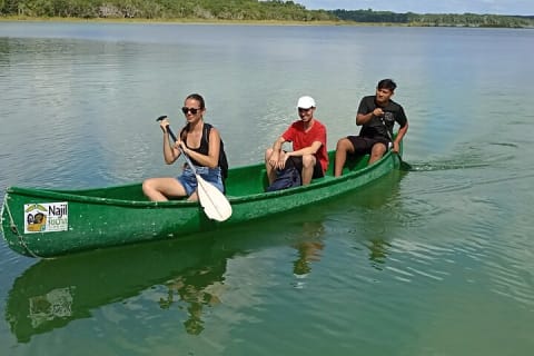 Punta Laguna Tour: Spider Monkey Reserve, cenote, canoe — photo 9