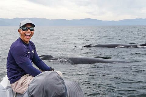 Observation des baleines en bateau rapide avec panier-repas à Puerto Vallarta — photo 2