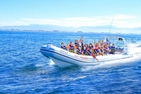 Observation des baleines en bateau rapide avec panier-repas à Puerto Vallarta — photo 7