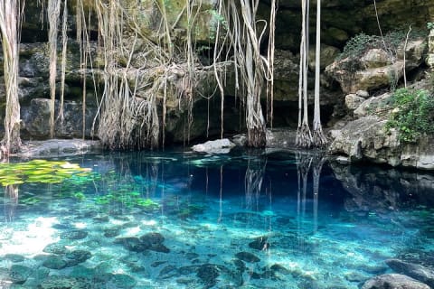 Explore Uxmal, 2 Magic Cenotes and Mayan Gastronomy — photo 8
