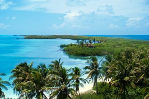 Contoy Island & Mujeres island, snorkeling & lunch on the beach. — photo 6
