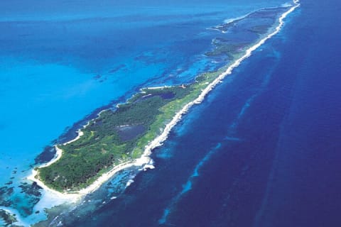 Contoy Island & Mujeres island, snorkeling & lunch on the beach. — photo 4