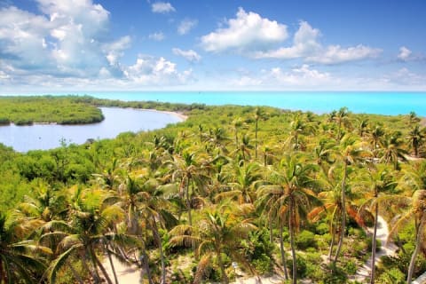Contoy Island & Mujeres island, snorkeling & lunch on the beach. — photo 7