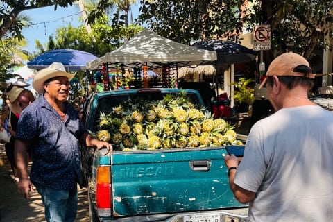Sayulita and San Pancho Day Trip from Puerto Vallarta — photo 2