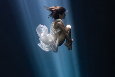 Underwater Photography Experience in Mexico's Sacred Cenotes — photo 14