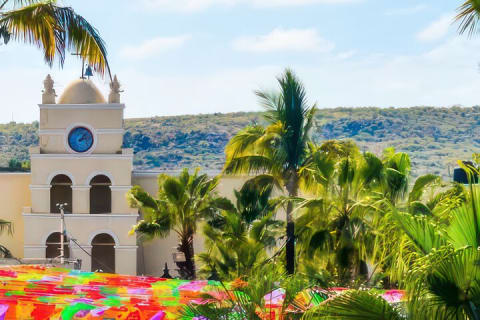 Fiesta Bike Tour in Todos Santos — photo 3