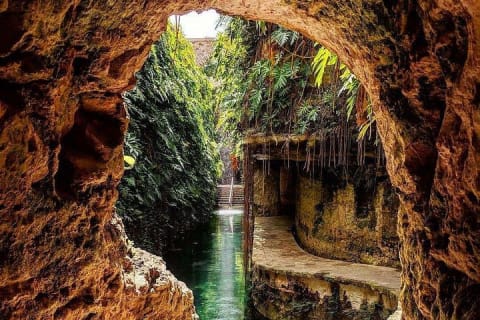 Uxmal, Hacienda Mucuyché, Cenotes & Authentic Yucatecan Cuisine — photo 1