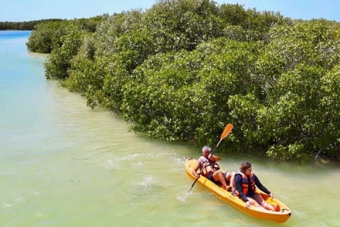 Isla Columpios and Progreso Day Trip — photo 2
