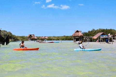 Isla Columpios and Progreso Day Trip — photo 5