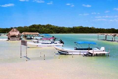 Isla Columpios and Progreso Day Trip — photo 7