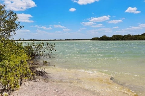 Isla Columpios and Progreso Day Trip — photo 11