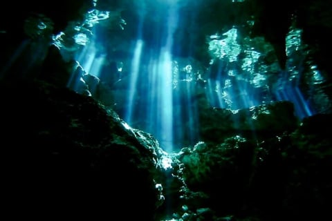 Tulum Cenote DOS OJOS Unforgettable Scuba Dive Tour — photo 14