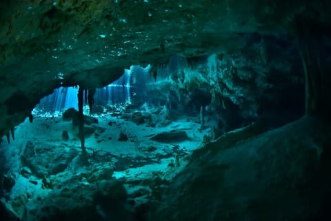 Tulum Cenote DOS OJOS Unforgettable Scuba Dive Tour — photo 2