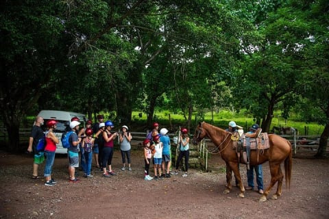 Quad monoplace, tyroliennes, balade à cheval et cascade avec open bar — photo 12