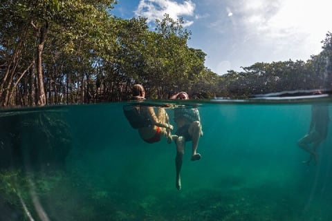 Holbox: 3 Island Private Boat Tour — photo 1