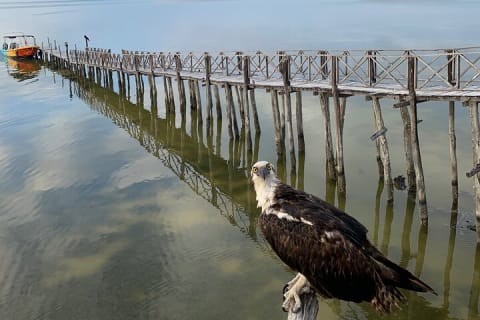 Holbox 3 Island Group Tour — photo 2